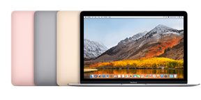 APPLE MacBook Retina 12" 2017 i7 - 1,4 Ghz - 8 Go RAM - 512 Go SSD